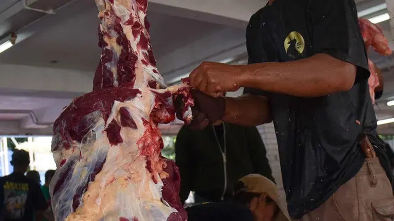 Daging kurban akan didistribusikan langsung ke masyarakat yang sudah terdaftar, termasuk panti asuhan hingga rumah-rumah tahfidz. (Liputan6.com/Herman Zakharia)