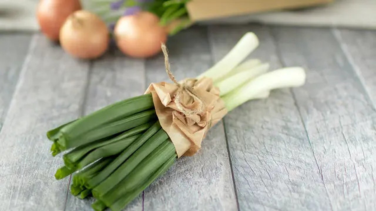 Ilustrasi daun bawang/credit: pexels.com/Larissa