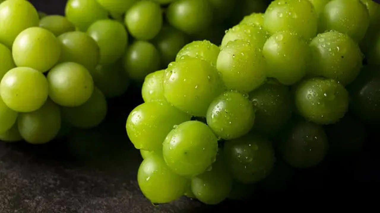 Anggur shine muscat