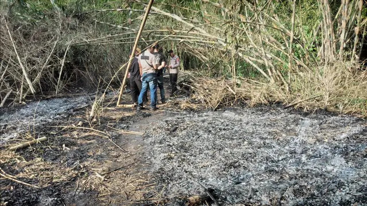 Polisi menggelar olah TKP di lokasi terbakarnya lansia 84 tahun saat membakar dampah di Desa Rowokele, Kecamatan Rowokele, kabupaten Kebumen, Rabu (30/10/2024).