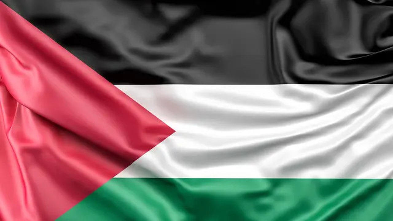 Ilustrasi Palestina. (Freepik)
