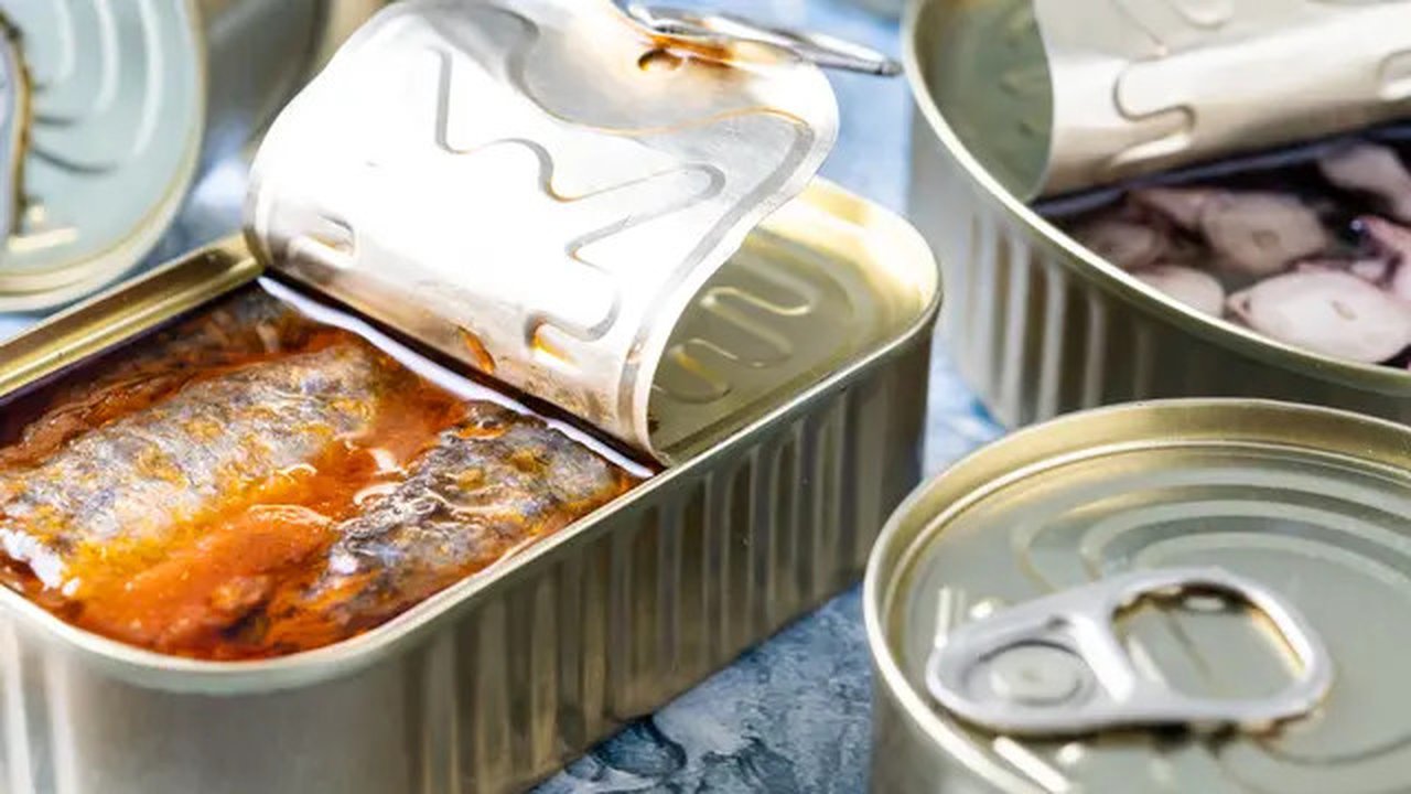 KPP Usulkan Ikan Kaleng Masuk Menu Makan Bergizi Gratis, Begini Tanggapan Ahli Gizi. Foto: candlervid85/Freepik.