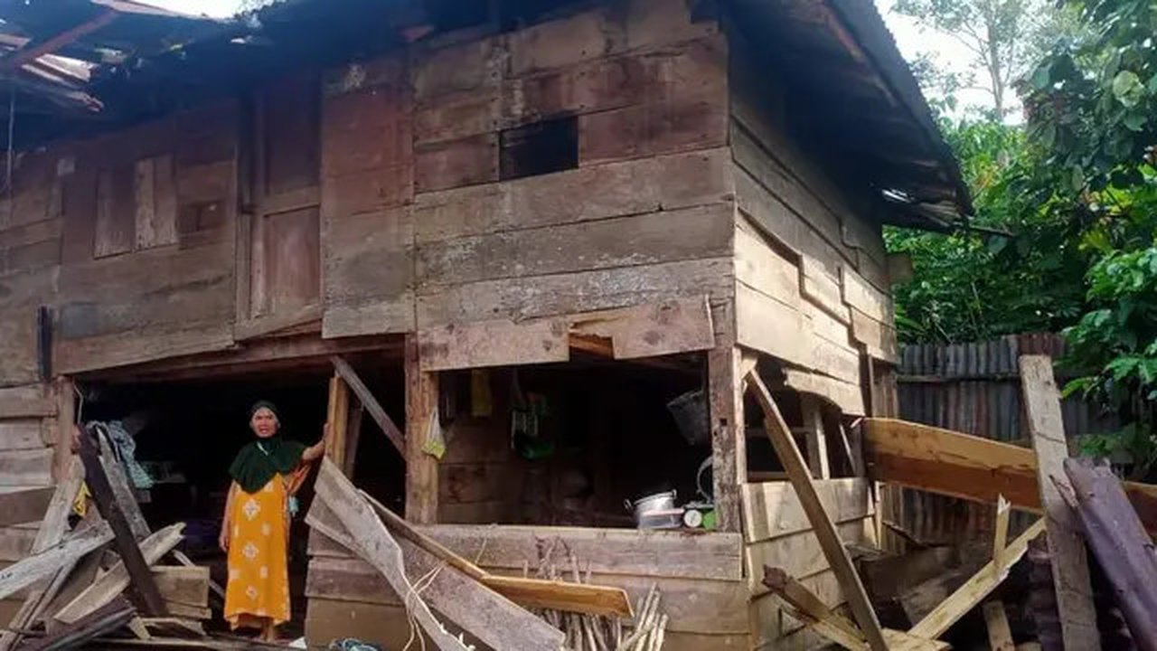 Kondisi rumah warga di Kecamatan Bandar Negeri Suoh yang dirusak oleh kawanan gajah liar. Foto : (Istimewa).