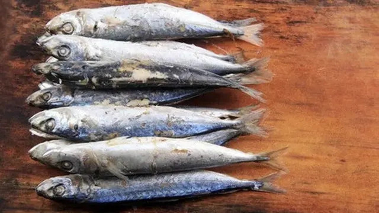 Ilustrasi ikan pindang. (Foto: Istimewa)