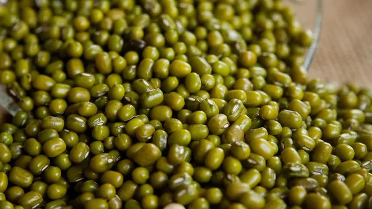 Kacang Hijau (Foto: Pixabay)