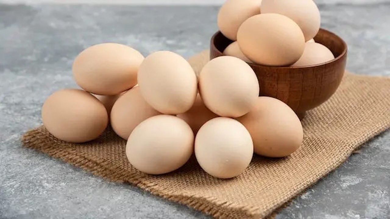 telur copyright/freepik/azerbaijan_stockers