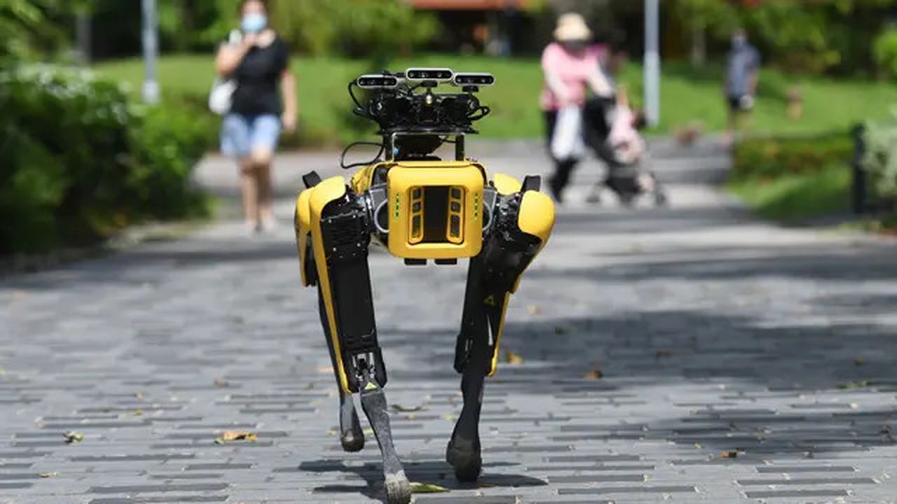 SPOT, robot anjing yang dapat mendeteksi apakah pengunjung memakai masker atau tidak menjalani uji coba putaran keduanya di Bishan Park Singapura, 22 September 2020. Uji coba ini bagian dari