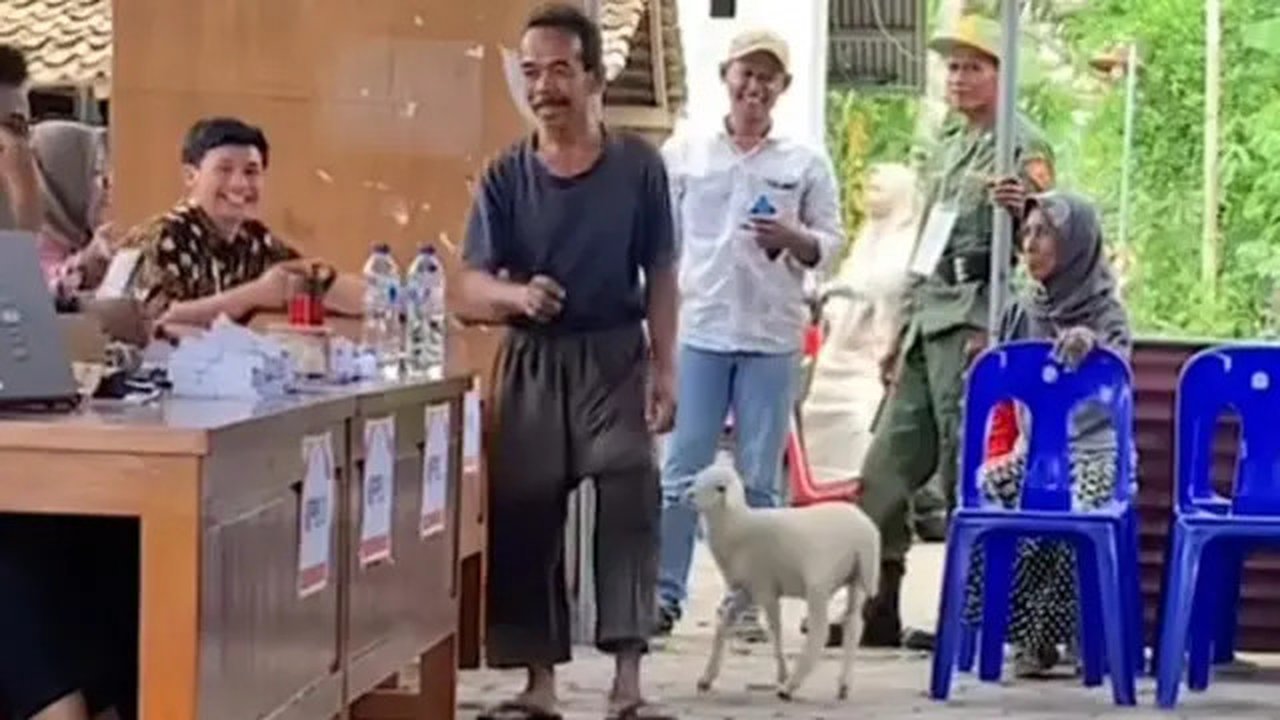 Momen Kambing Ikut Nyoblos ke TPS Pilkada 2024 Ini Unik Banget (Sumber: Instagram/merapi_uncover)