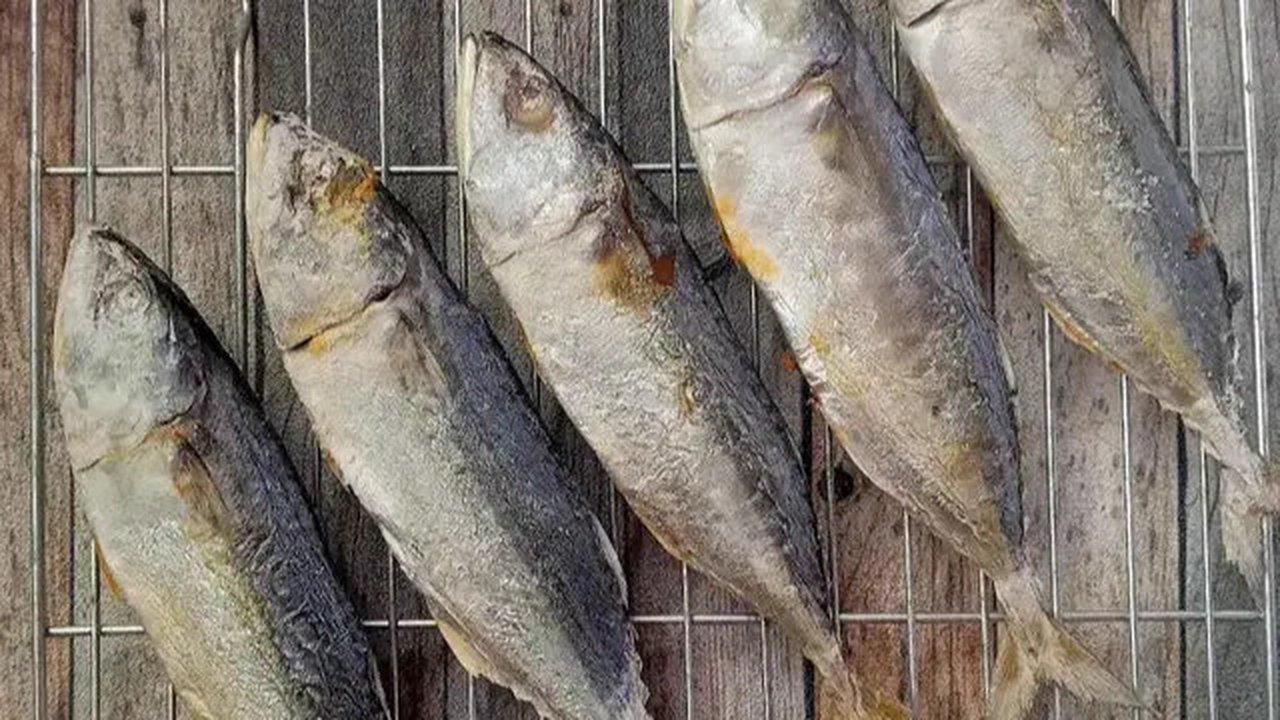 Ilustrasi ikan peda. (Foto: Cookpad/@ratnadnachan)