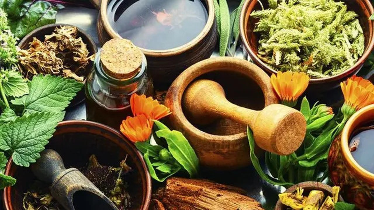 Resep Unik: Sirih Kunci Jahe (Credit: Cookpad/Yk Channel @YkChannel2707)