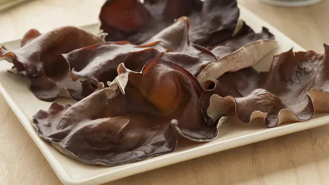 ilustrasi jamur kuping (Sumber: iStockphoto)