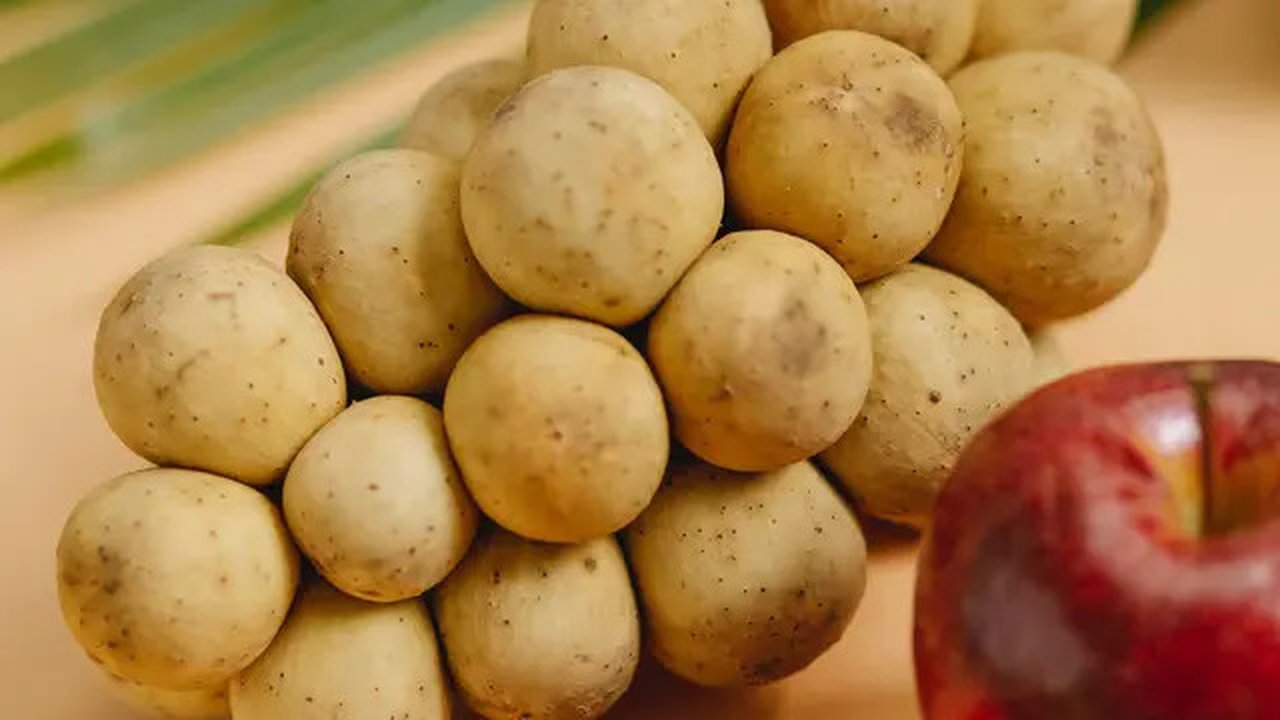 Ilustrasi mimpi, buah duku. (Foto oleh Any Lane dari Pexels)