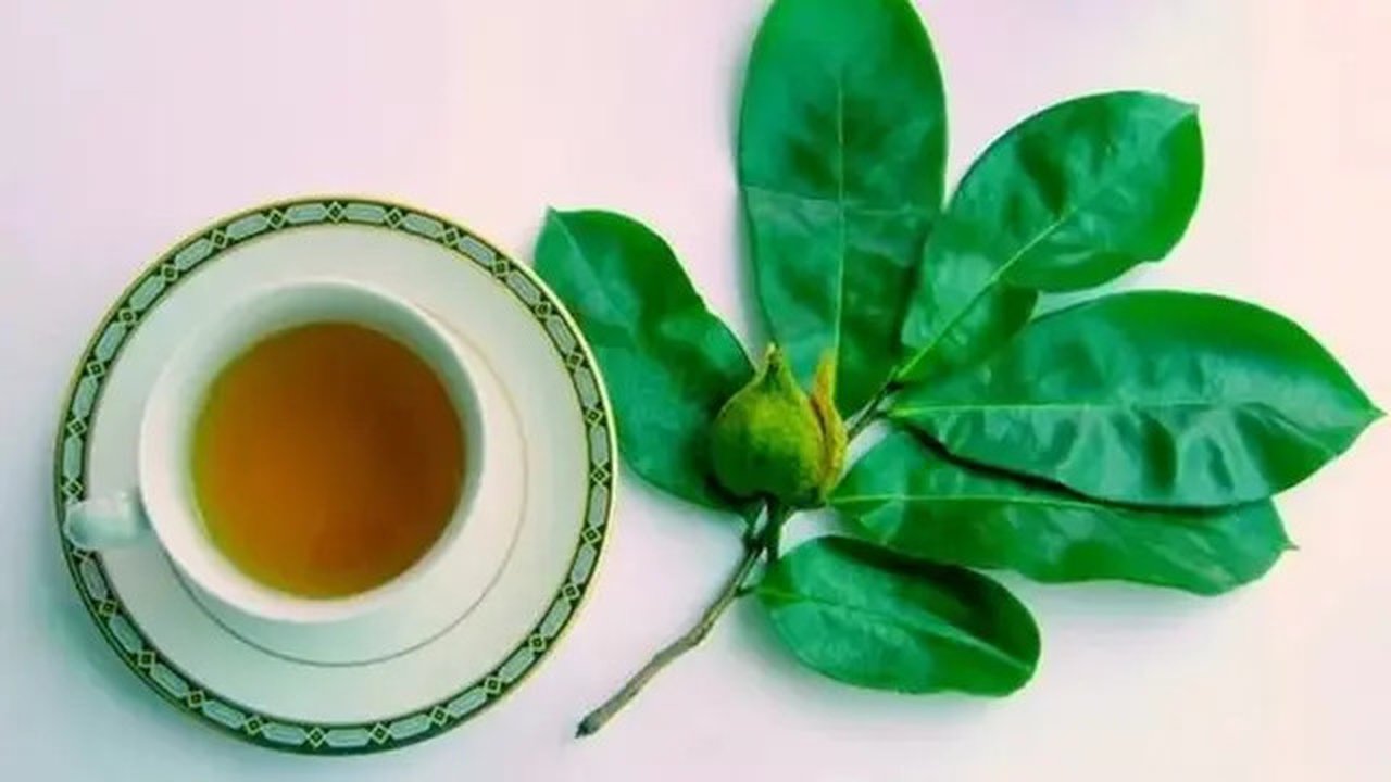 Rebusan Sirsak. (foto: Pinterest/JawaPos).