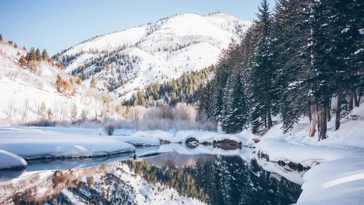 (unsplash.com/@coloradocolby)