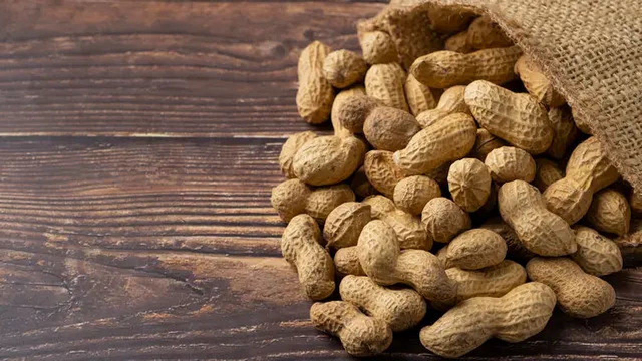 Ilustrasi kacang tanah. (Foto: Freepik)
