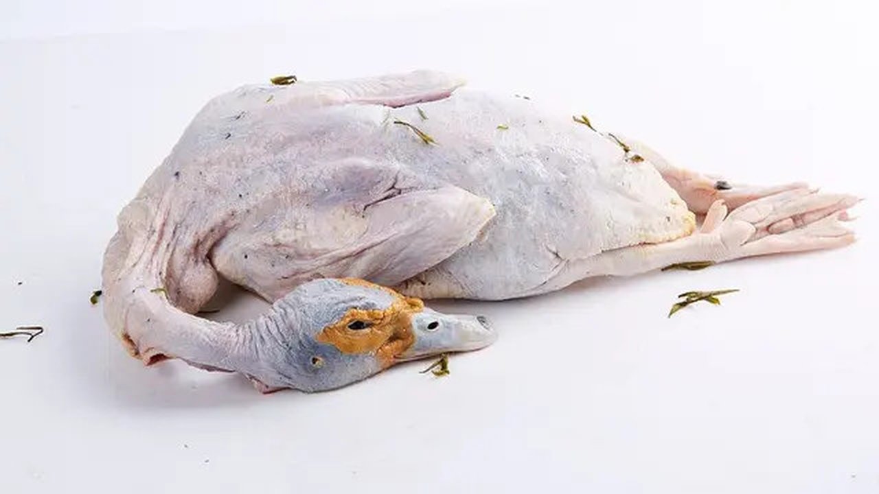 Daging Bebek - Image by luow from Pixabay