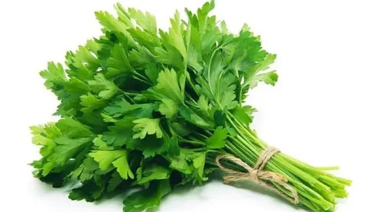 daun seledri (credit: walmart.com)