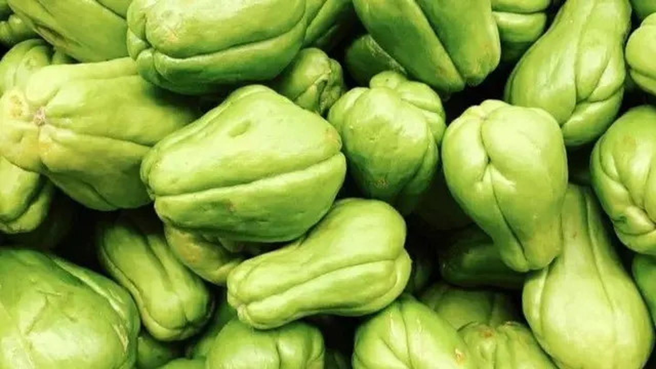 sayur labu siam (credit: Pinterest/Fitri octaviani/labu baby)