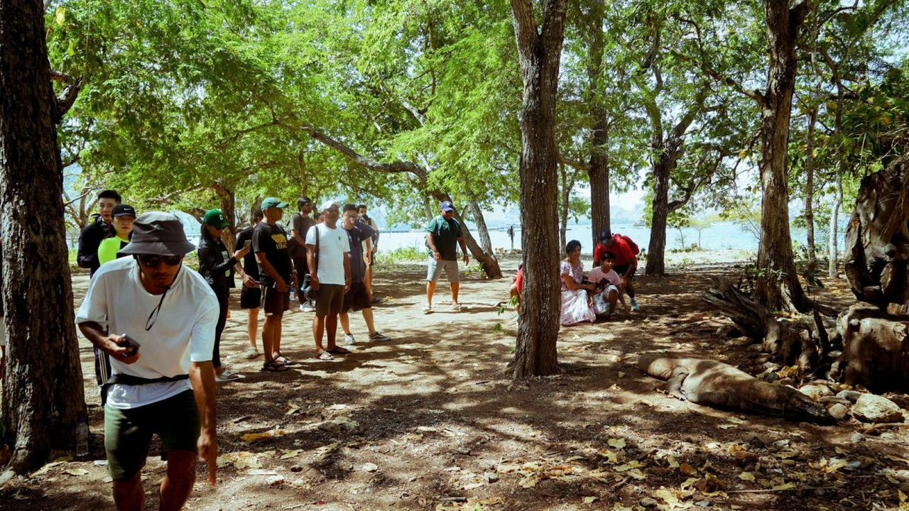 Badan Pelaksana Otorita Labuan Bajo Flores (BPOLBF) sebagai salah satu unit pelaksana teknis Kementerian Pariwisata memastikan keamanan Taman Nasional Komodo ...