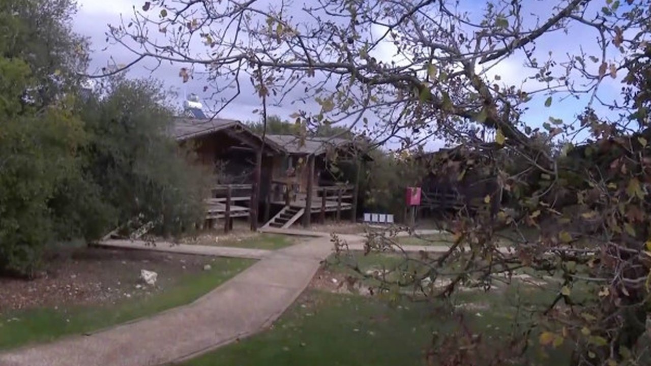 ANTARA - Cagar Alam Hutan Ajloun terletak di dataran tinggi Provinsi Ajloun di barat laut Yordania. Didirikan oleh Royal Society for the Conservation of Nature ...