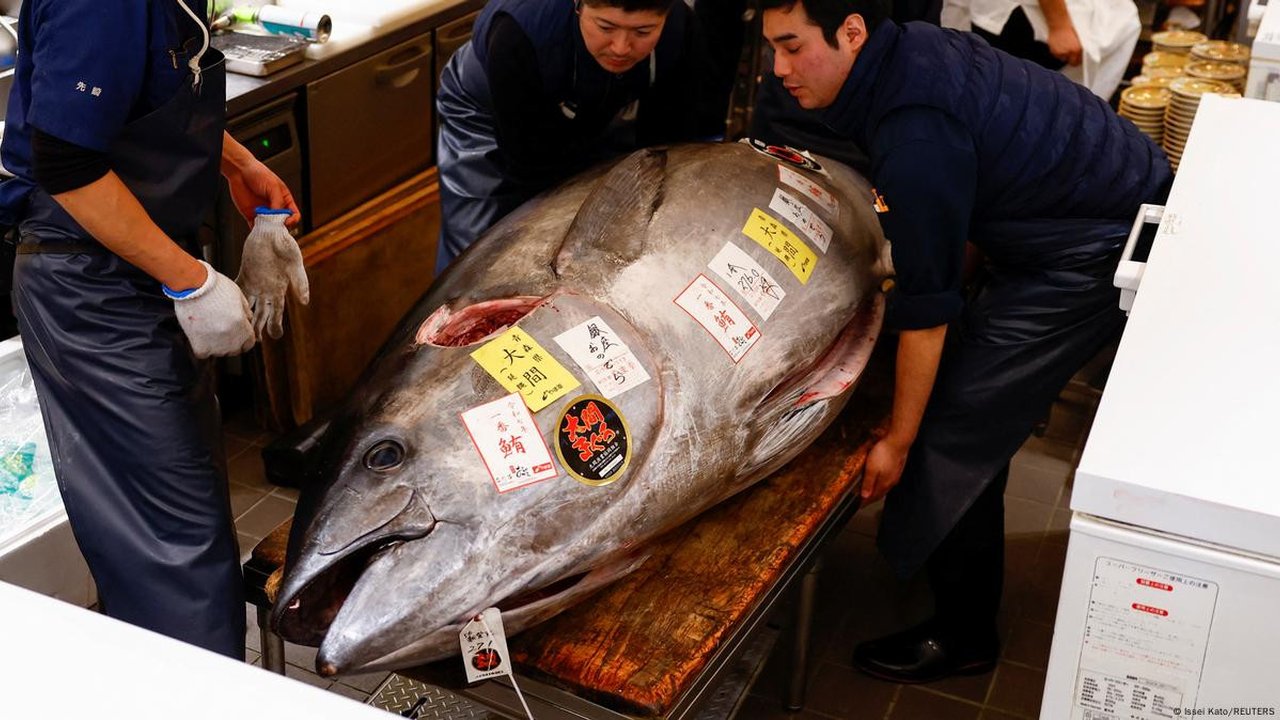 A titanic 276-kilo bluefin tuna has sold for $1.3 million, the second-highest price on record.