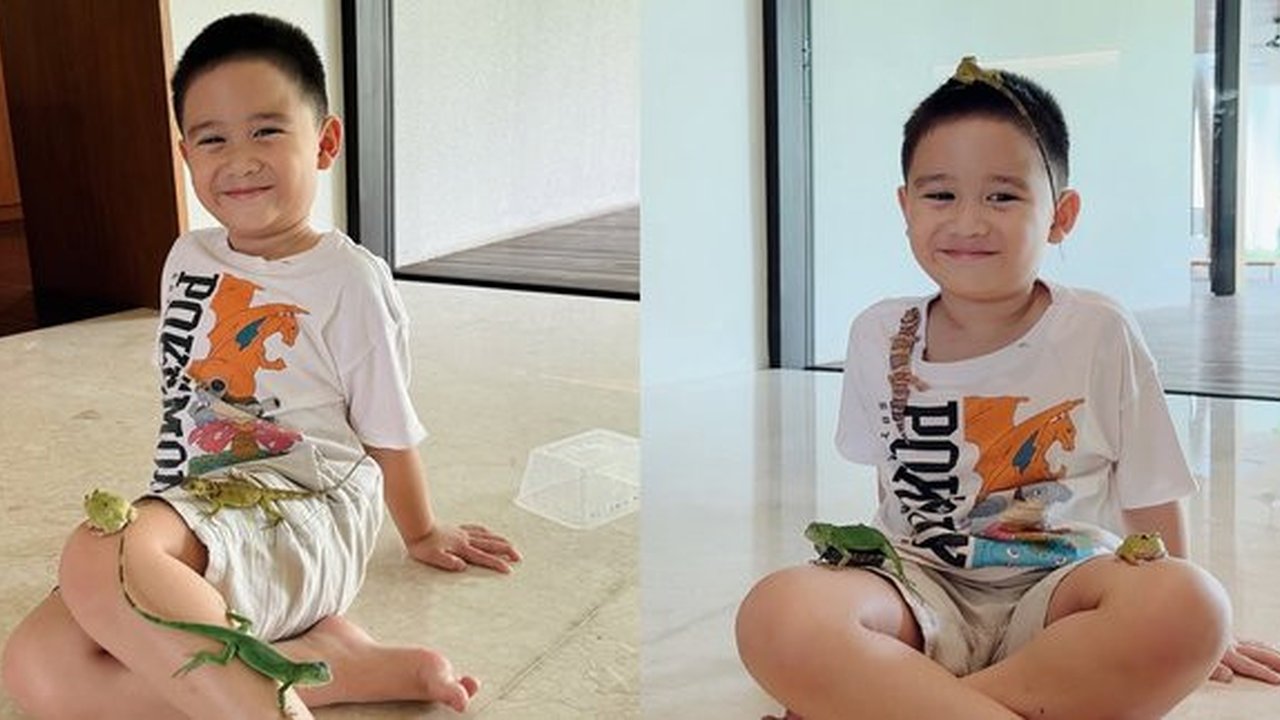 Kumpulan Hewan Peliharaan Athar Anak Citra Kirana dan Rezky Aditya, Ada Katak sampai Iguana