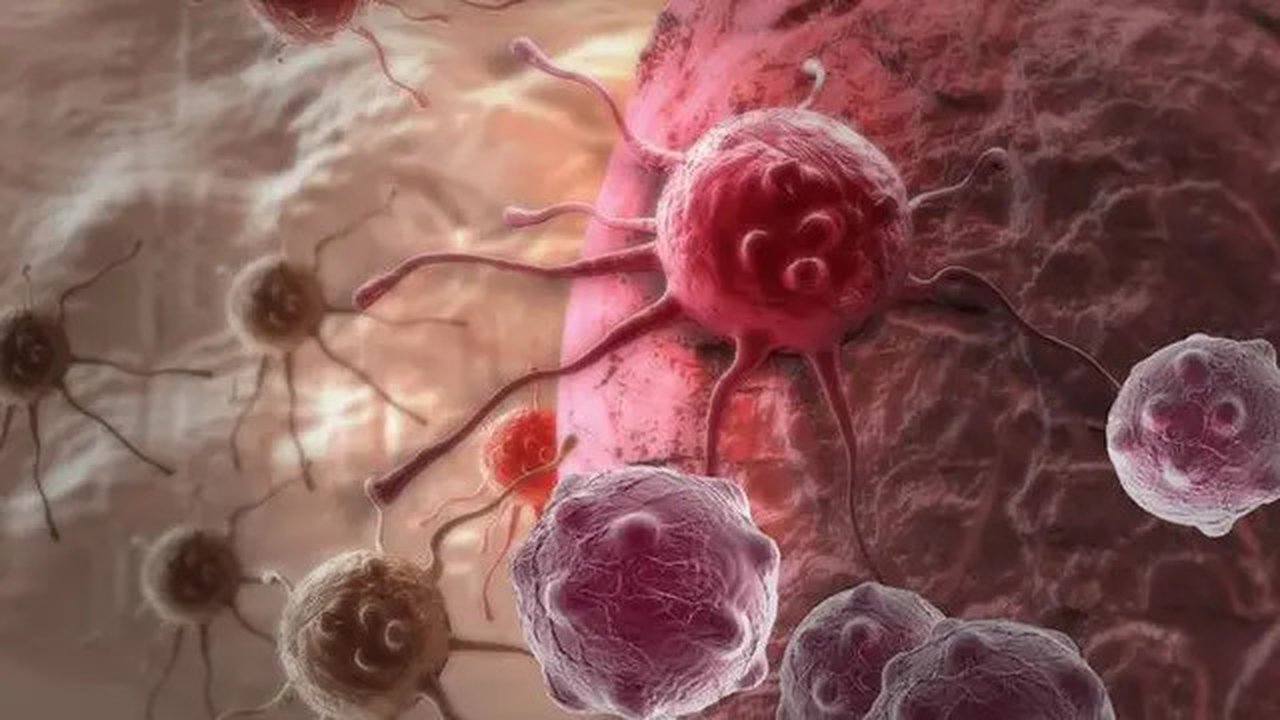 Ilustrasi sel kanker | Klikdokter
