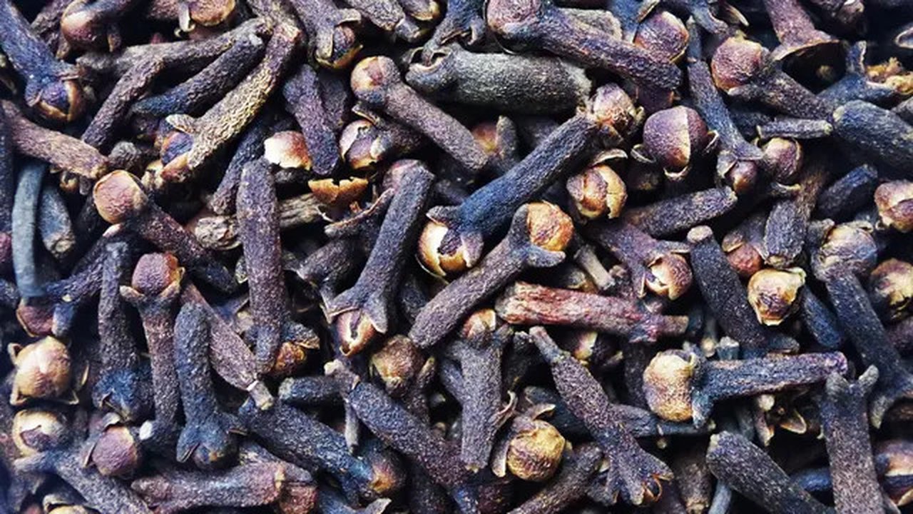 Cengkeh (sumber: Pixabay)
