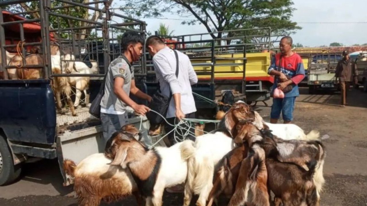 Dinas Peternakan dan Kesehatan Hewan (DPKH) Gunungkidul memperketat pengawasan lalu lintas ternak di pasar hewan untuk mencegah penyebaran Penyakit Mulut dan Kuku (PMK), terutama setelah 893 sapi terjangkit dan 68 diantaranya mati.