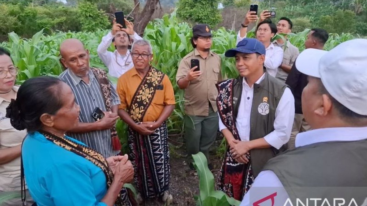 Menteri Kehutanan (Menhut) Raja Juli Antoni mengunjungi Kupang, NTT, dan menyoroti potensi tanaman sorgum serta memberikan bantuan untuk kelompok tani setempat guna meningkatkan produktivitas pertanian.