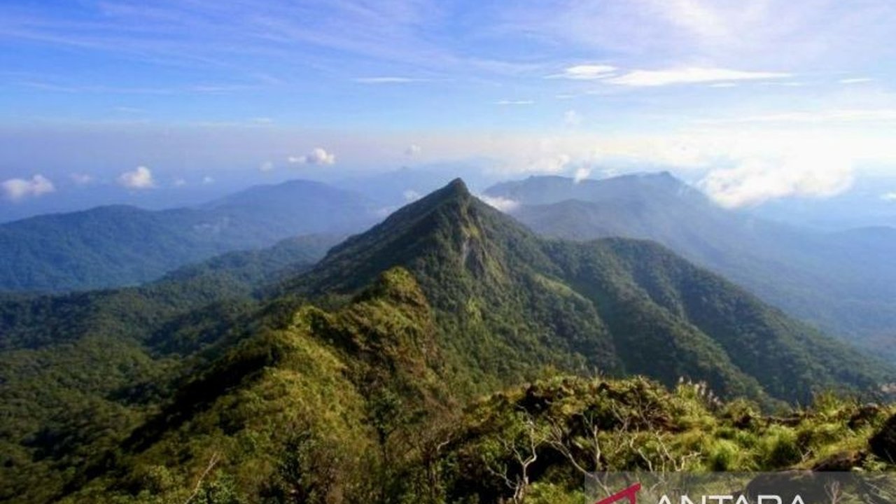 Aktivitas pendakian Gunung Halau-Halau di Kalimantan Selatan ditutup sementara mulai 17 Januari 2025 untuk menghormati tradisi Basambu Umang suku Dayak Meratus dan pemeliharaan lingkungan.