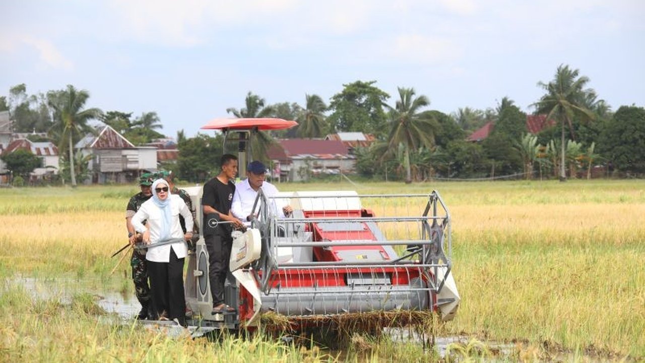 Wakil Menteri Pertanian mengingatkan Bulog untuk segera menyerap gabah petani di Sumatera Selatan sesuai Harga Pembelian Pemerintah (HPP) Rp6.500 per kg, guna mencegah kerugian petani dan menjaga stabilitas harga beras.