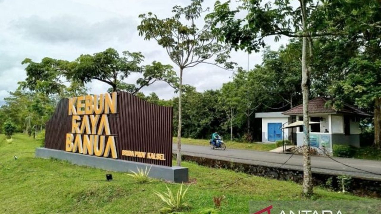 Pemerintah Provinsi Kalimantan Selatan mengembangkan Kebun Raya Banua di Banjarbaru untuk meningkatkan kunjungan wisatawan dan pendapatan asli daerah (PAD), dengan penambahan objek wisata dan peremajaan infrastruktur.