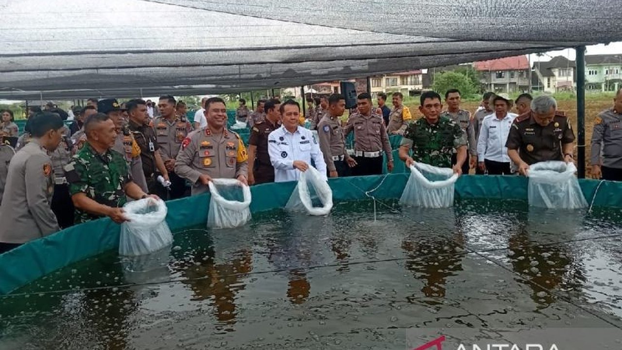 Polda Sumatera Utara memanfaatkan lahan seluas 548,37 hektare untuk menanam jagung guna mendukung ketahanan pangan nasional, melibatkan lahan produktif milik institusi, Polres, dan lahan tumpang sari.