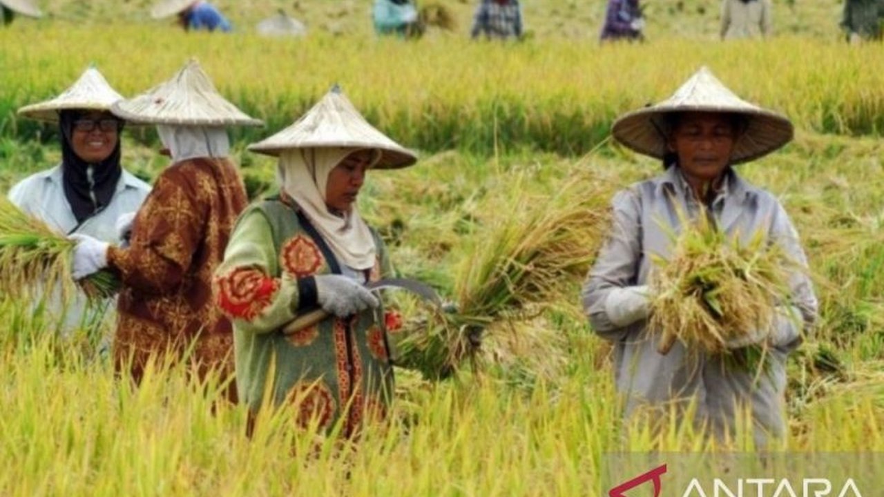 Pemkab Banyuasin membangun taman edukasi pertanian untuk menarik minat generasi muda agar menjadi petani andal dan mengoptimalkan lahan pertanian di Banyuasin, Sumatera Selatan, yang merupakan lumbung pangan Sumsel.