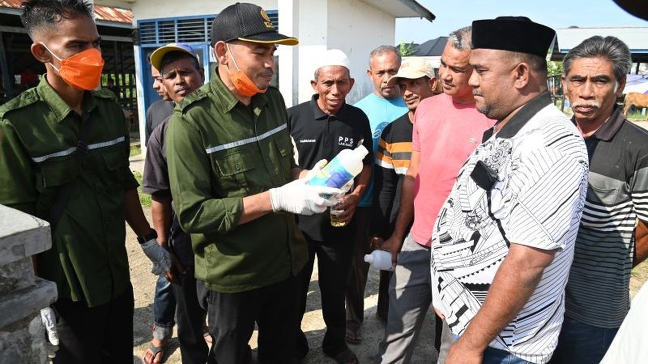 Pemerintah Kabupaten Aceh Besar proaktif mencegah penyebaran Penyakit Mulut dan Kuku (PMK) dengan membagikan disinfektan, penyemprotan kandang, dan sosialisasi kepada peternak di Aceh Besar.