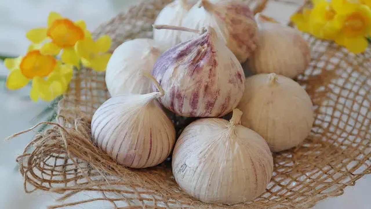 Manfaat Bawang Putih Tunggal untuk Asam Urat (Sumber: Pixabay)