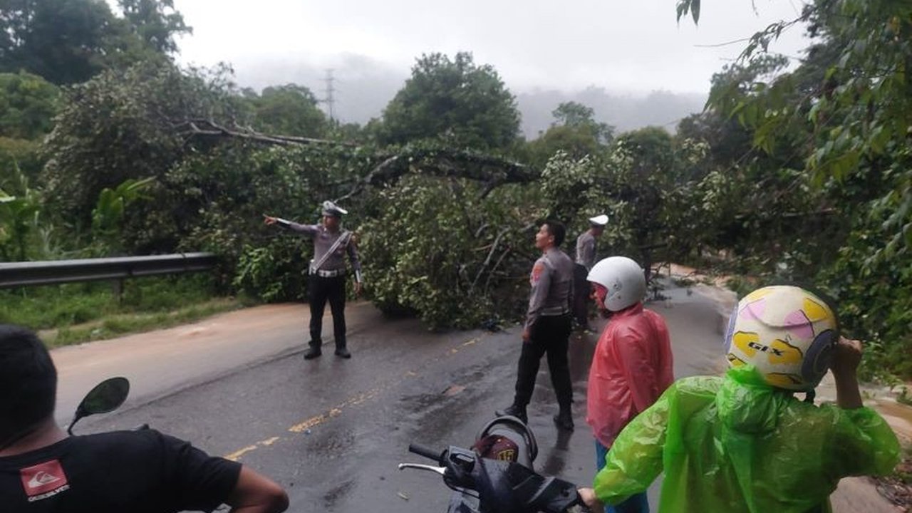 Jalan Lintas Sumatera Putus Akibat Longsor di Pesisir Selatan