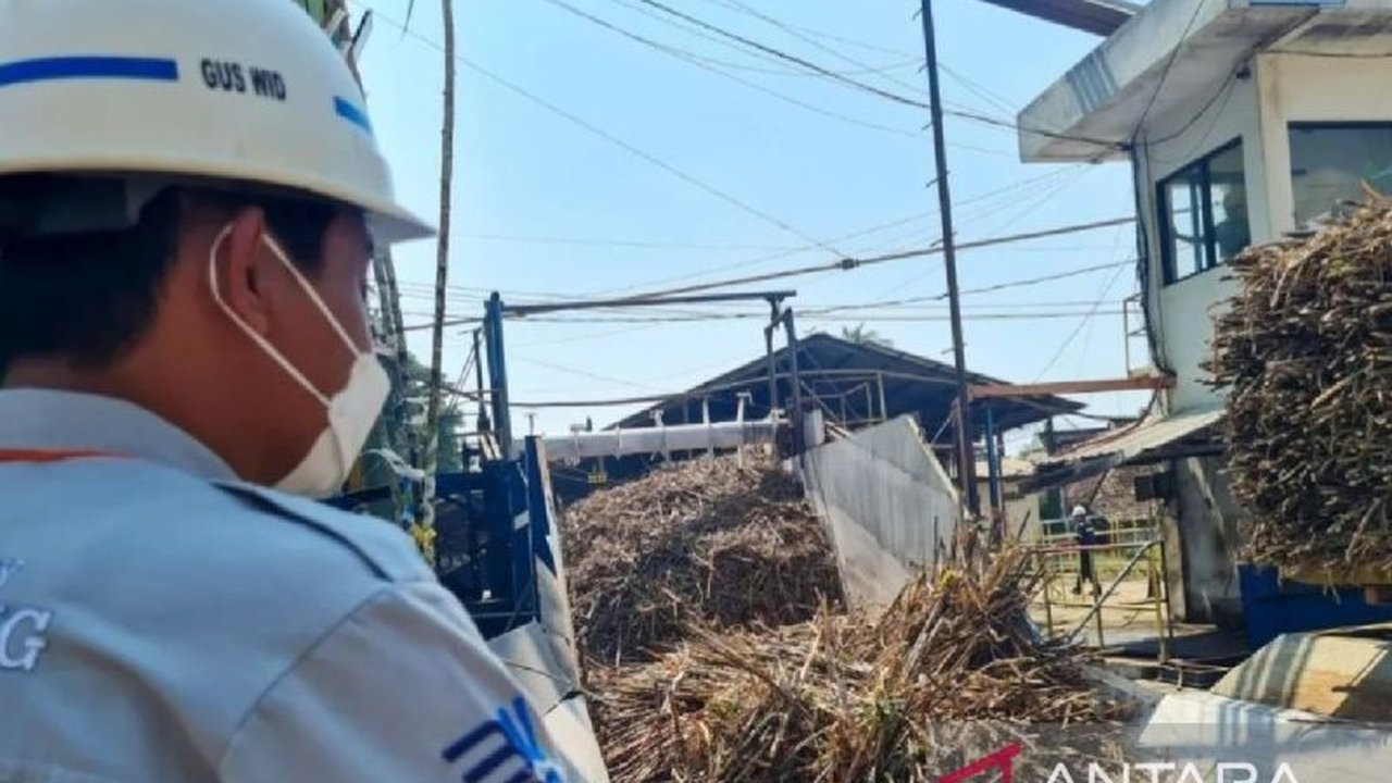 PG Assembagoes di Situbondo, Jawa Timur, menargetkan peningkatan kapasitas giling tebu menjadi 4.300 ton per hari pada musim giling 2025, didukung strategi peningkatan kerjasama dengan petani tebu dan kenaikan HET.