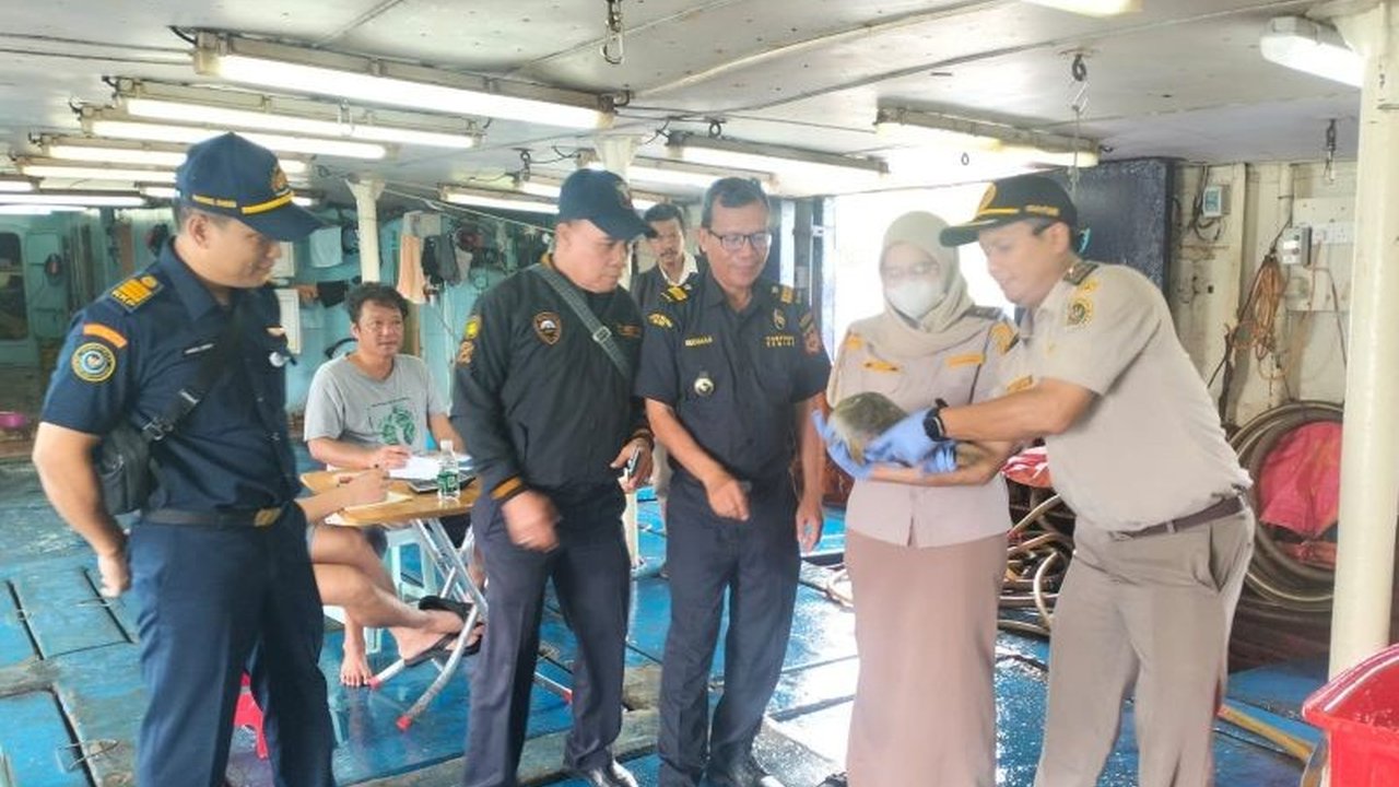 Karantina Kepri memfasilitasi ekspor ikan kerapu hidup dari Bintan ke Hong Kong senilai Rp700 juta, dengan pengawasan ketat untuk mencegah penyebaran hama dan penyakit ikan.