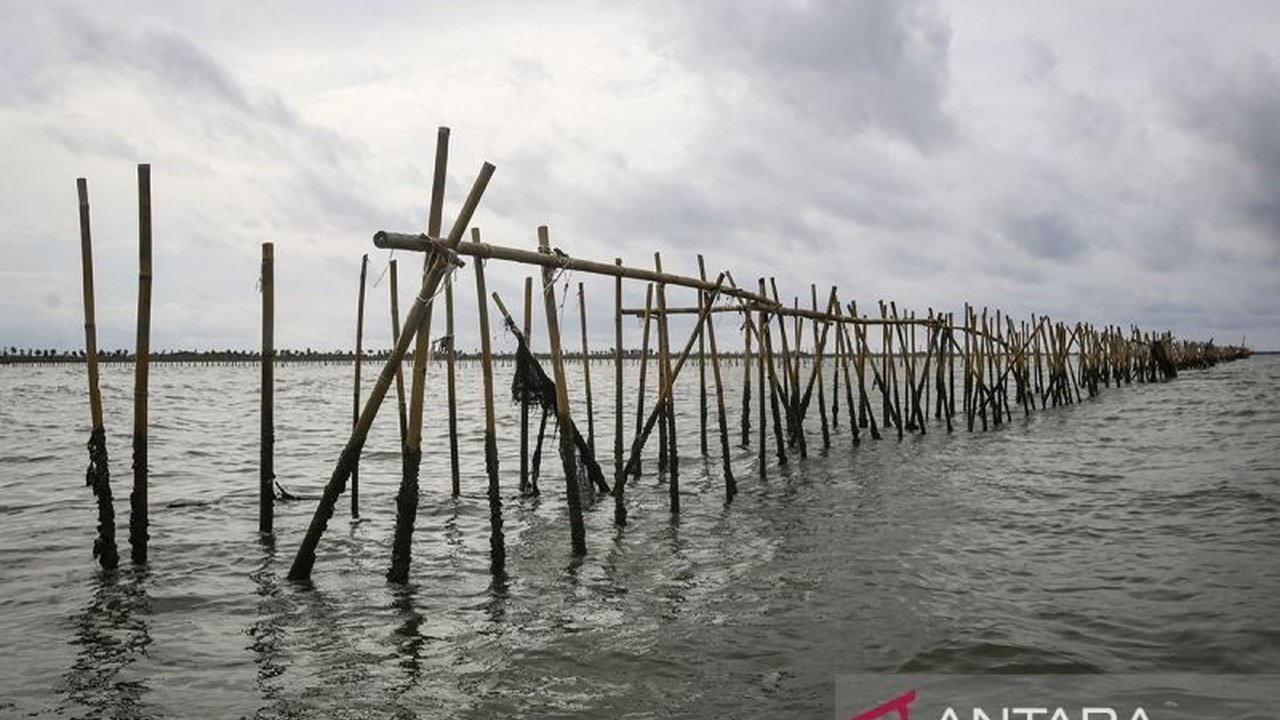 Kementerian Lingkungan Hidup dan Badan Pengendalian Lingkungan Hidup (KLH/BPLH) tengah memverifikasi dokumen lingkungan pagar laut di Bekasi yang disegel KKP karena diduga melanggar aturan dan termasuk kegiatan reklamasi.
