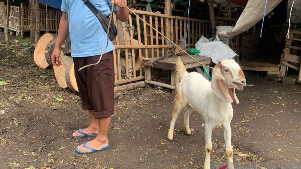 Pemerintah Kabupaten Pasuruan memperpanjang penutupan pasar hewan hingga akhir Januari 2024  karena kasus Penyakit Mulut dan Kuku (PMK) yang terus meningkat,  walau jual beli di kandang pribadi masih diizinkan dengan syarat tertentu.