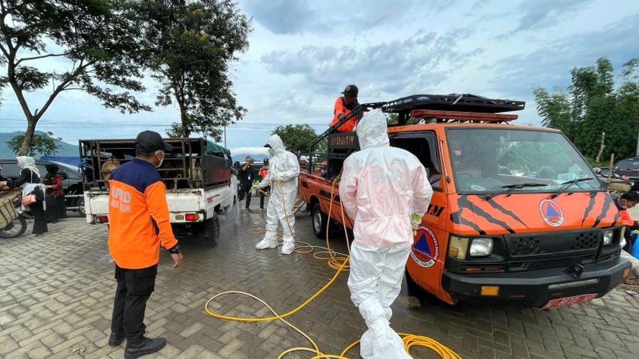 BPBD Jawa Timur membantu sterilisasi pasar hewan di berbagai daerah untuk mencegah penyebaran Penyakit Mulut dan Kuku (PMK) pada hewan ternak,  melibatkan penyemprotan disinfektan dan distribusi vaksin.