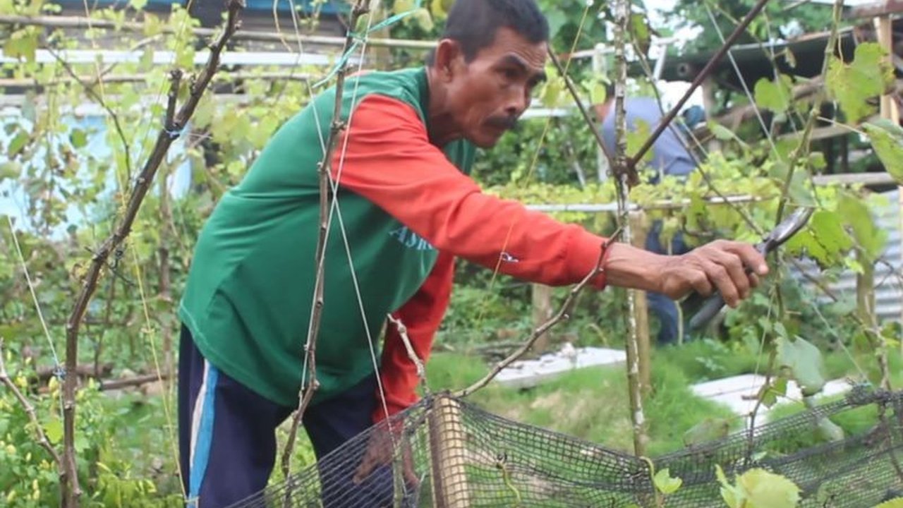 Bupati Lombok Tengah, Lalu Pathul Bahri, mengajak kepala desa se- Lombok Tengah untuk mendukung program swasembada pangan nasional melalui gerakan pertanian di tingkat desa guna menekan inflasi dan meningkatkan ketahanan pangan.