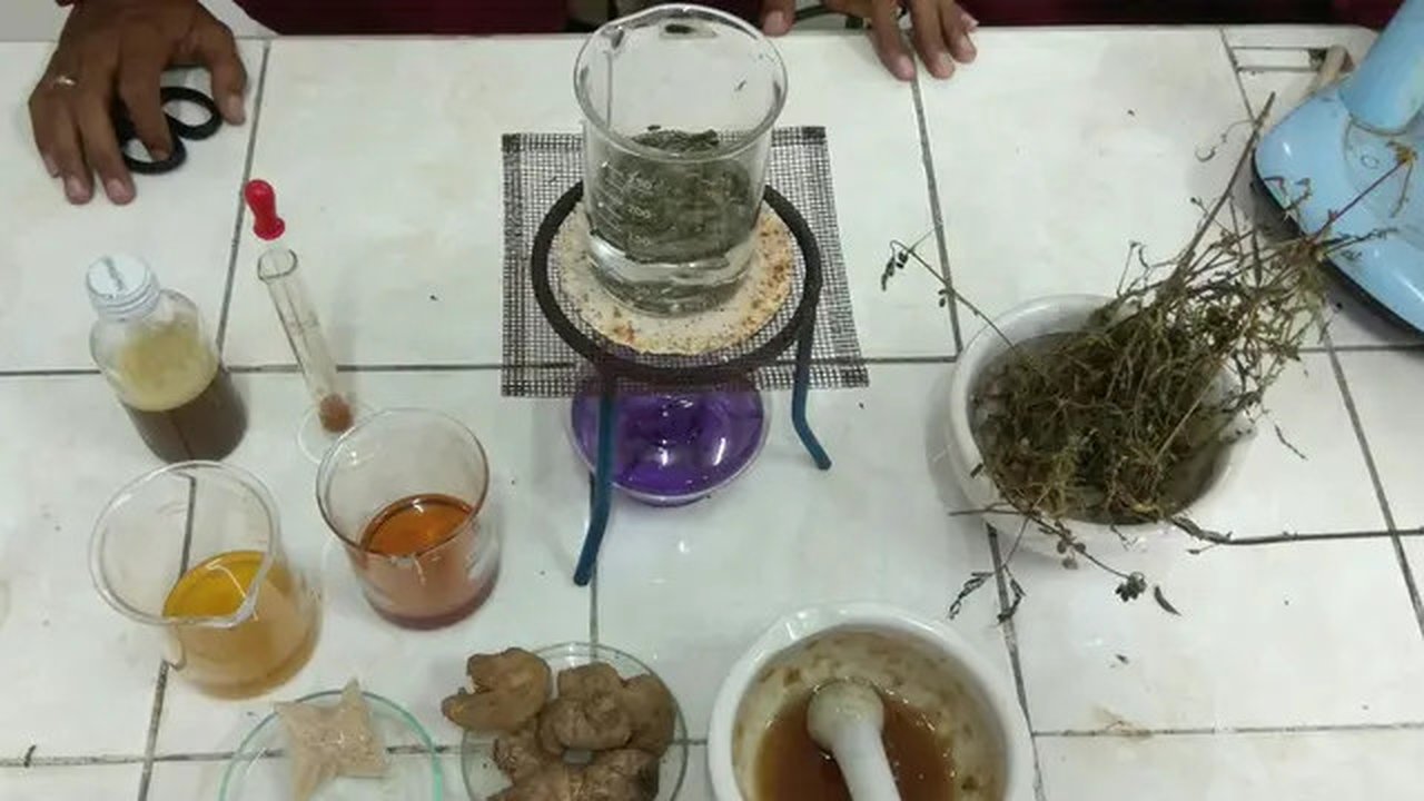 Tiga mahasiswa meneliti teh herbal berbahan daun putri malu itu bisa berefek mendatangkan kantuk maksimal satu jam setelah dikonsumsi. (Liputan6.com/Dhimas Prasaja)