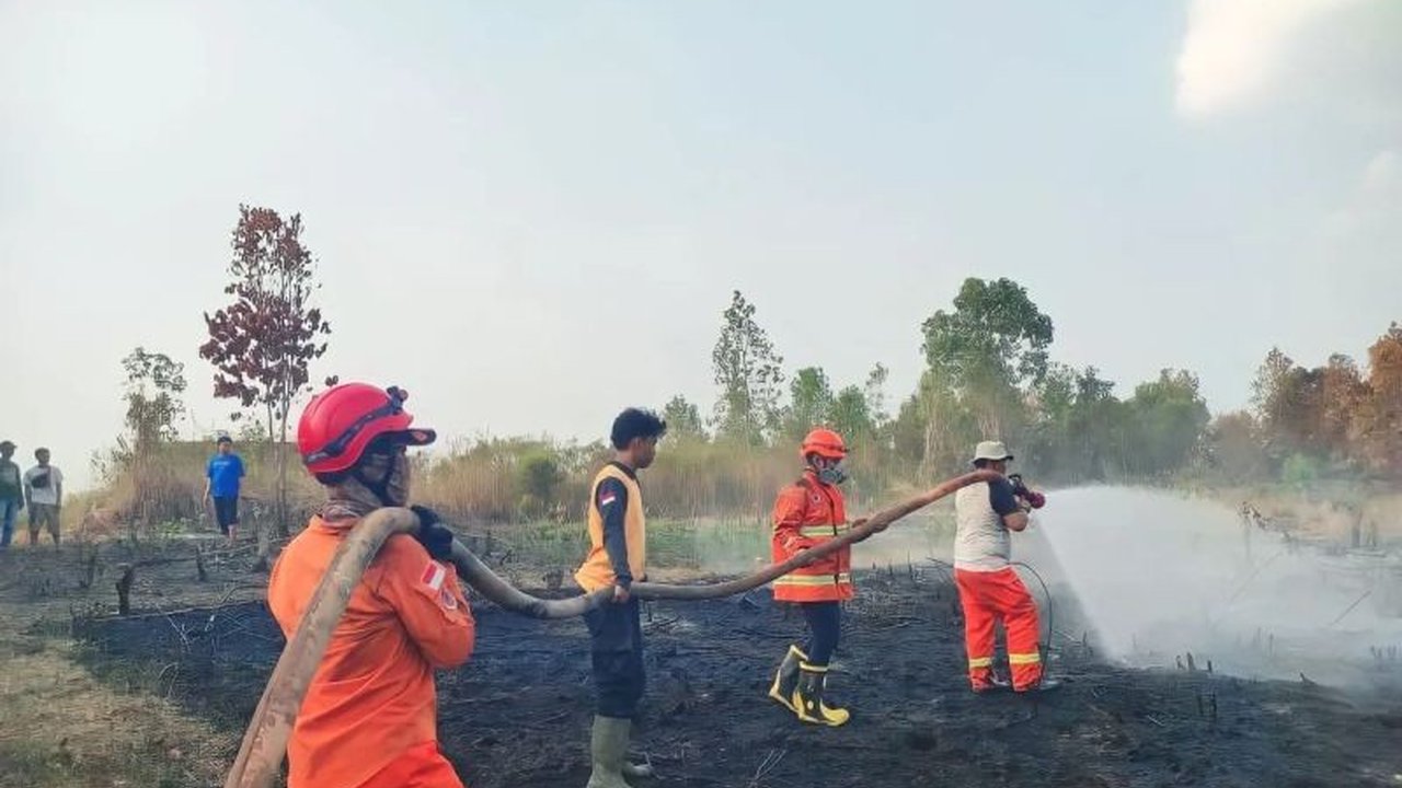BPBD OKU berhasil menangani 28 kasus kebakaran hutan dan lahan (karhutla) di sembilan desa selama kemarau 2024, dengan luas lahan terbakar jauh lebih sedikit dibandingkan tahun sebelumnya.
