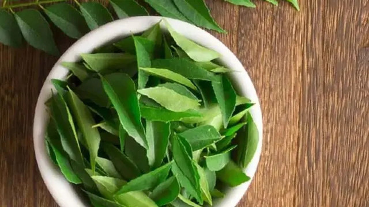 Daun Salam (Sumber: iStockphoto)