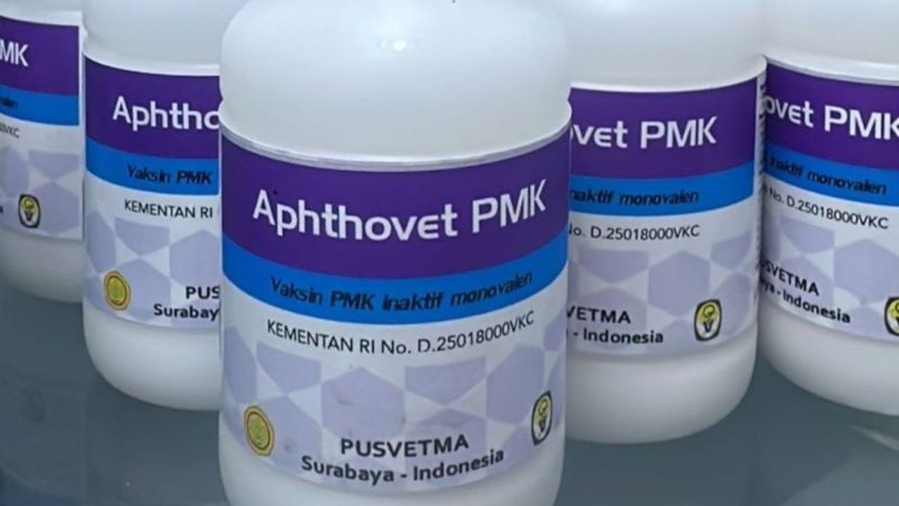 Pemkab Kudus menerima 300 dosis vaksin PMK untuk mencegah penyebaran penyakit mulut dan kuku pada hewan ternak, khususnya sapi dan kerbau, setelah sebelumnya mencatat 135 kasus PMK.