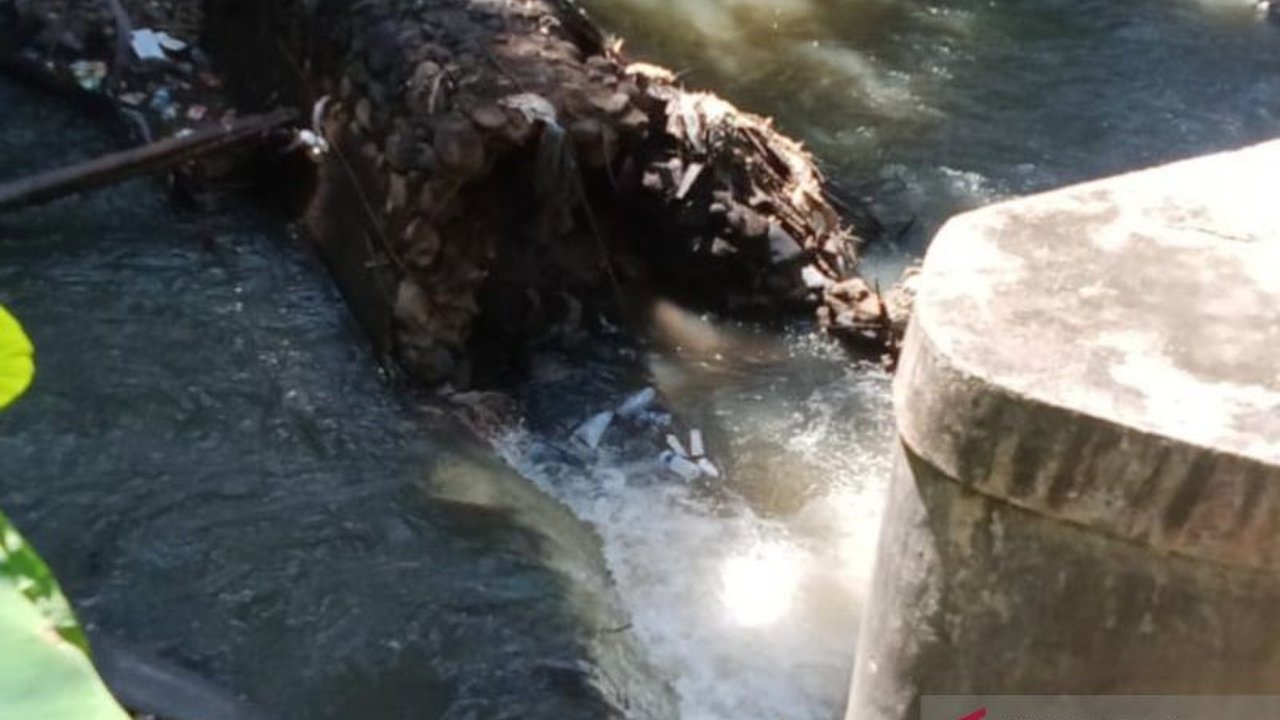 Petani di Desa Penarik, Mukomuko, Bengkulu menunda penanaman padi karena kerusakan irigasi akibat banjir yang belum diperbaiki, mengancam produktivitas pertanian dan alih fungsi lahan.
