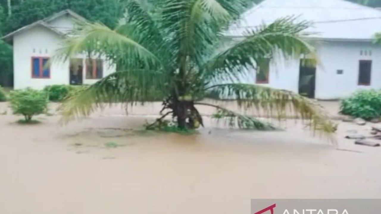 Banjir di Pesisir Selatan, Sumatra Barat: 1.459 Rumah Terendam
